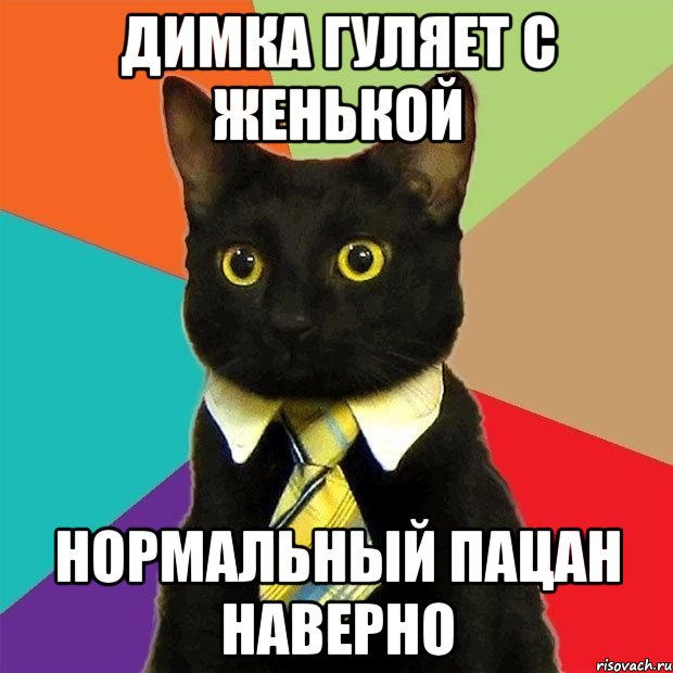 димка гуляет с женькой нормальный пацан наверно, Мем  Кошечка