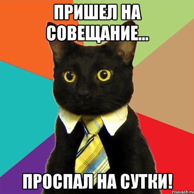 пришел на совещание... ПРОСПАЛ НА СУТКИ!, Мем  Кошечка