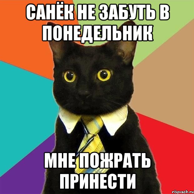 Санёк не забуть в понедельник мне пожрать принести, Мем  Кошечка