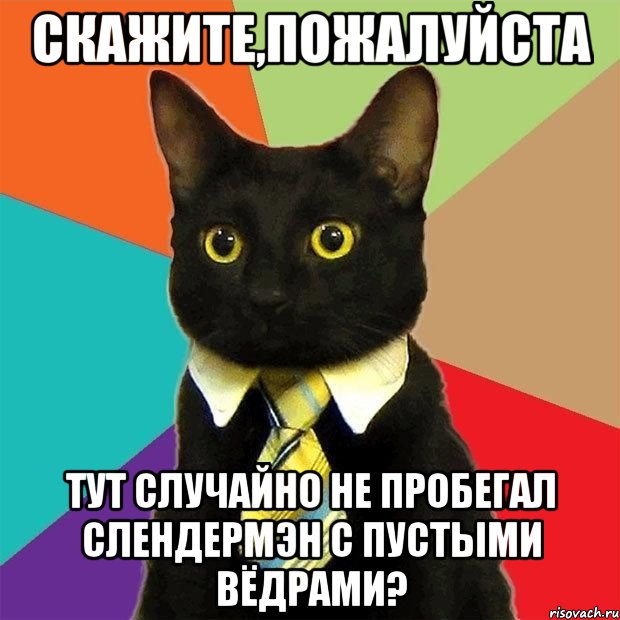 скажите,пожалуйста тут случайно не пробегал СлендерМэн с пустыми вёдрами?, Мем  Кошечка