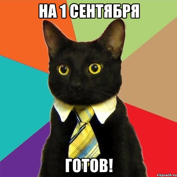 На 1 сентября Готов!, Мем  Кошечка