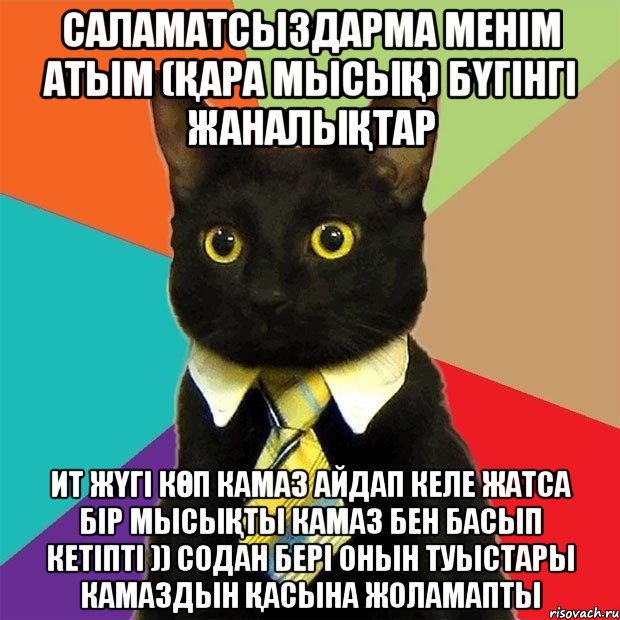 саламатсыздарма менім атым (қара мысық) бүгінгі жаналықтар ит жүгі көп камаз айдап келе жатса бір мысықты камаз бен басып кетіпті )) содан бері онын туыстары камаздын қасына жоламапты, Мем  Кошечка