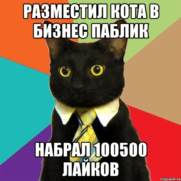 разместил кота в бизнес паблик набрал 100500 лайков, Мем  Кошечка