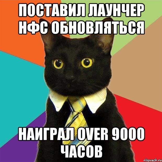 поставил лаунчер нфс обновляться наиграл over 9000 часов, Мем  Кошечка