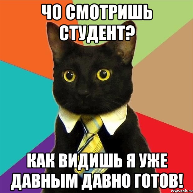 чо смотришь студент? как видишь я уже давным давно готов!, Мем  Кошечка