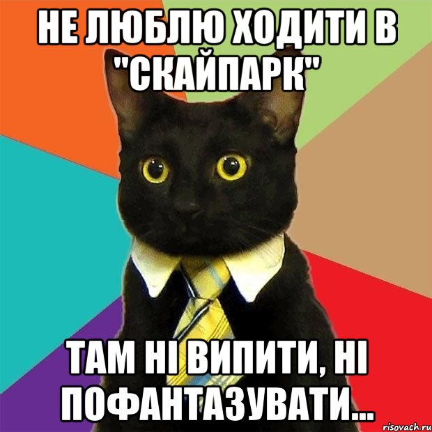 Не люблю ходити в "Скайпарк" там ні випити, ні пофантазувати..., Мем  Кошечка