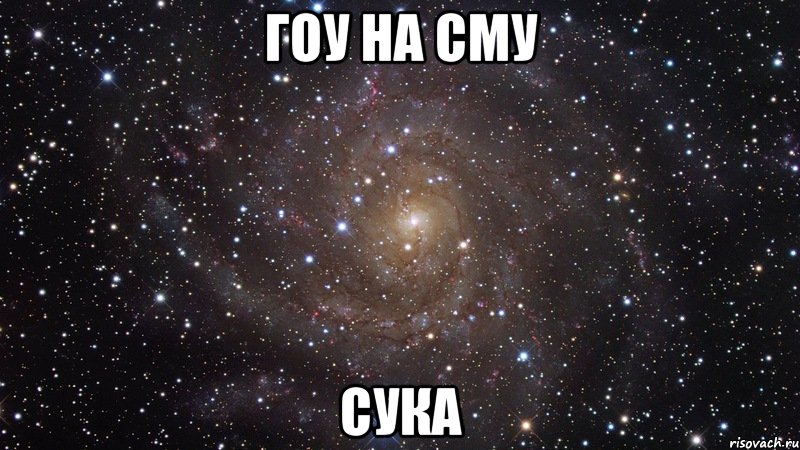 ГОУ НА СМУ СУКА, Мем  Космос (офигенно)