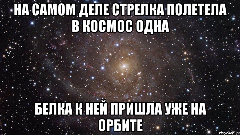 на самом деле Стрелка полетела в космос одна Белка к ней пришла уже на орбите, Мем  Космос (офигенно)