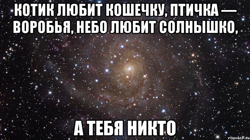 котик любит кошечку, птичка — воробья, небо любит солнышко, а тебя никто, Мем  Космос (офигенно)