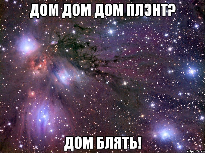 ДОМ ДОМ ДОМ ПЛЭНТ? ДОМ БЛЯТЬ!, Мем Космос