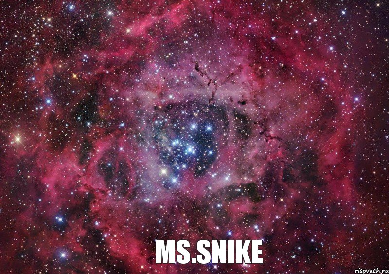  Ms.Snike