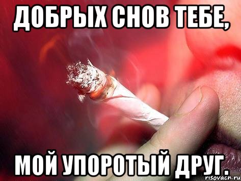 Добрых снов тебе, Мой упоротый друг., Мем косяк