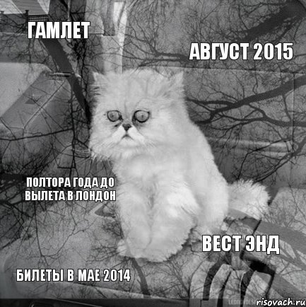 Гамлет август 2015 билеты в мае 2014 Вест Энд полтора года до вылета в Лондон, Комикс  кот безысходность