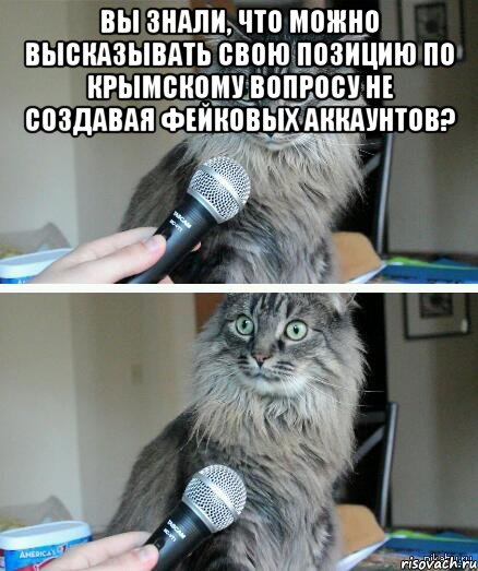 Вы знали, что можно высказывать свою позицию по крымскому вопросу не создавая фейковых аккаунтов? , Комикс  кот с микрофоном