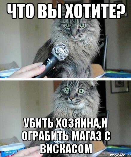 Что вы хотите? Убить хозяина,и ограбить магаз с вискасом, Комикс  кот с микрофоном