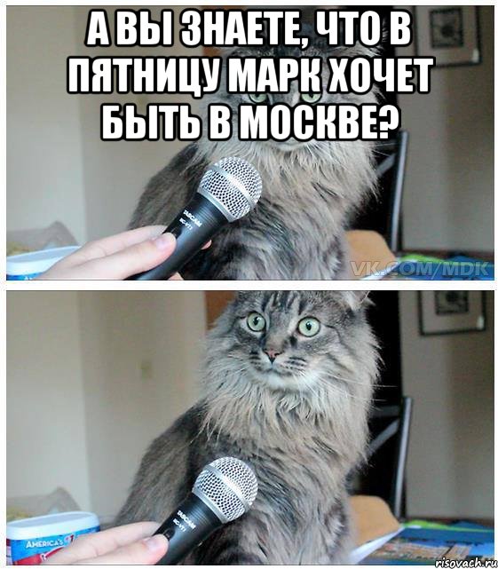 А вы знаете, что в пятницу Марк хочет быть в Москве? , Комикс  кот с микрофоном