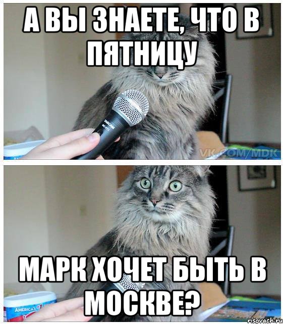 А вы знаете, что в пятницу Марк хочет быть в Москве?, Комикс  кот с микрофоном