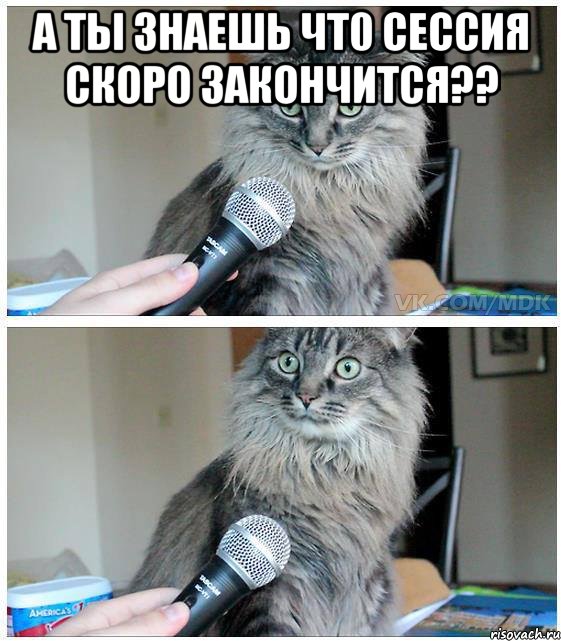 а ты знаешь чт0 сессия скоро закончится?? , Комикс  кот с микрофоном