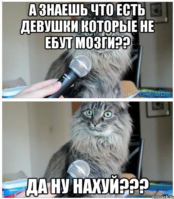 а знаешь что есть девушки которые не ебут мозги?? да ну нахуй???, Комикс  кот с микрофоном