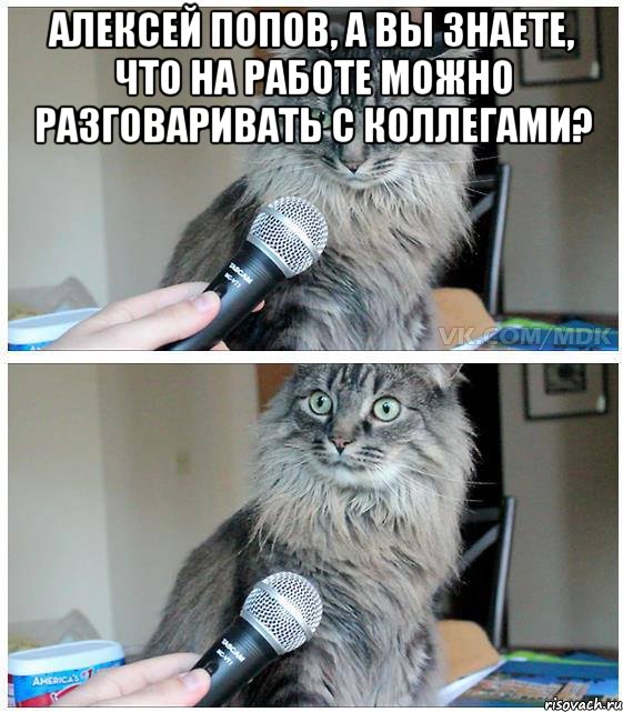 Алексей Попов, а вы знаете, что на работе можно разговаривать с коллегами? , Комикс  кот с микрофоном