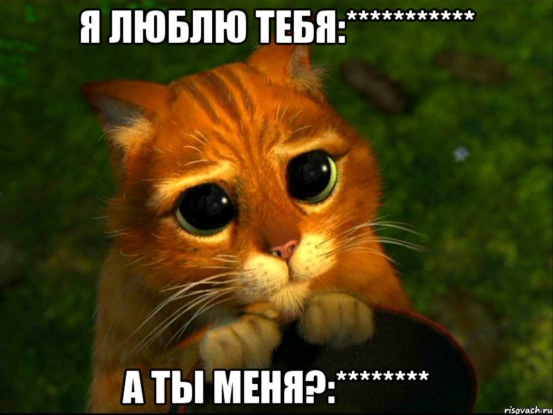 я люблю тебя:*********** а ты меня?:********, Мем кот из шрека