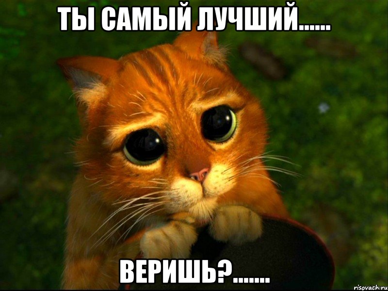 ты самый лучший...... веришь?......., Мем кот из шрека