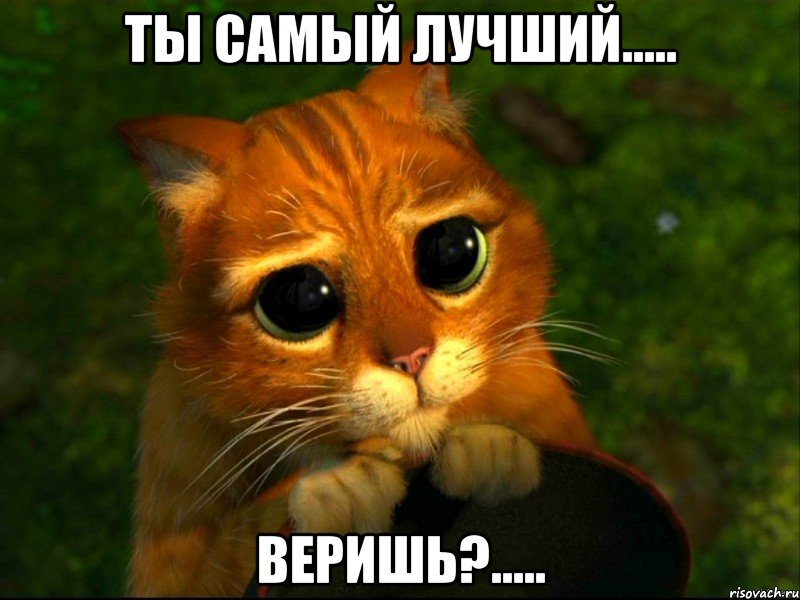 ты самый лучший..... веришь?....., Мем кот из шрека