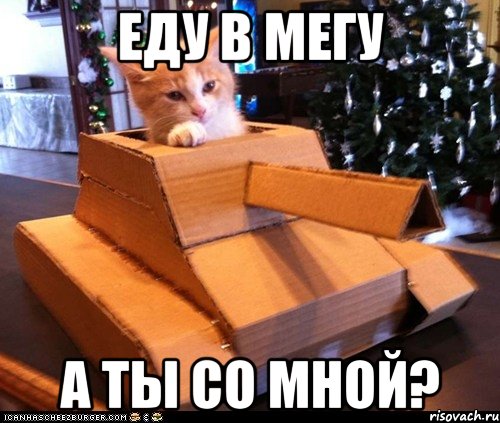 ЕДУ В МЕГУ А ТЫ СО МНОЙ?, Мем Котэ танкист