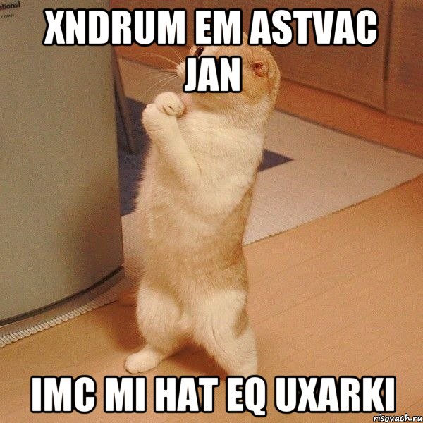 Xndrum em ASTVAC jan Imc mi hat eq uxarki, Мем  котэ молится