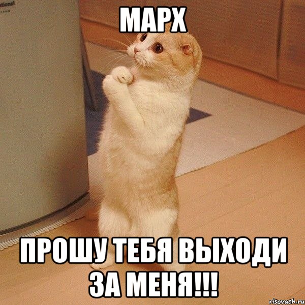 марх прошу тебя выходи за меня!!!, Мем  котэ молится