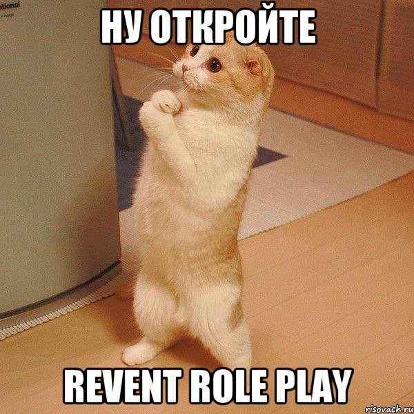 Ну Откройте Revent Role Play, Мем  котэ молится