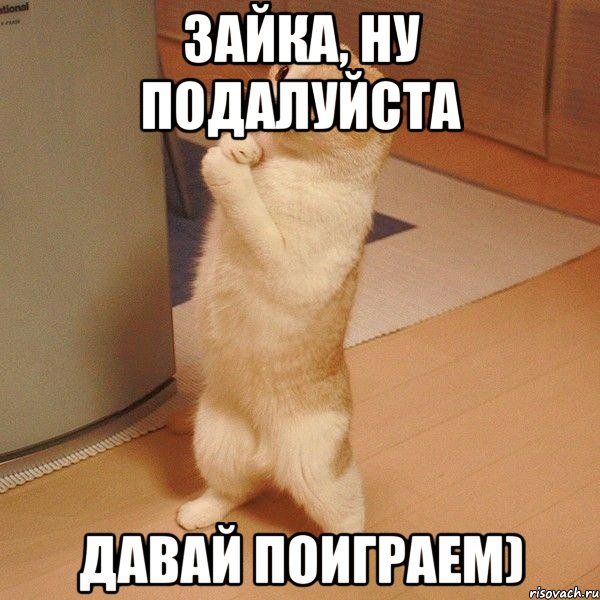 Зайка, ну подалуйста Давай поиграем), Мем  котэ молится