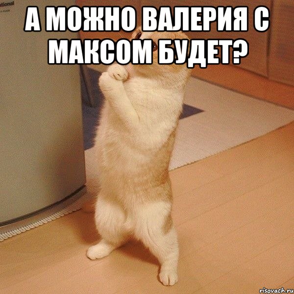 А можно Валерия С Максом Будет? , Мем  котэ молится