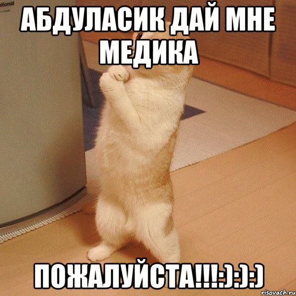 Абдуласик дай мне медика ПОЖАЛУЙСТА!!!:):):), Мем  котэ молится