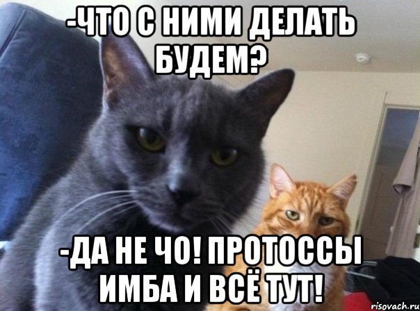 -Что с ними делать будем? -Да не чо! Протоссы имба и всё тут!, Мем  Два котэ