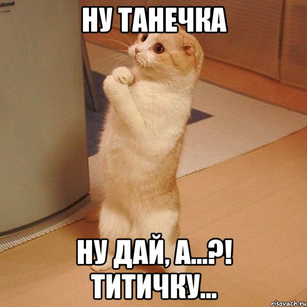 Ну Танечка ну дай, а...?! Титичку..., Мем  котэ молится