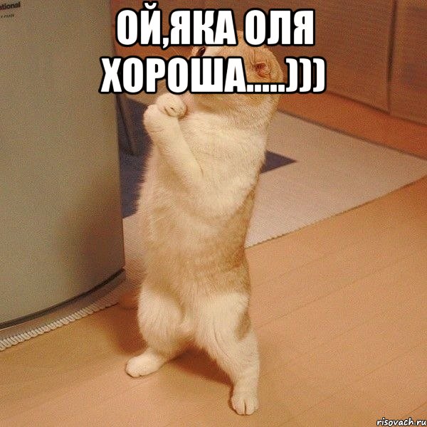 Ой,яка Оля хороша.....))) , Мем  котэ молится