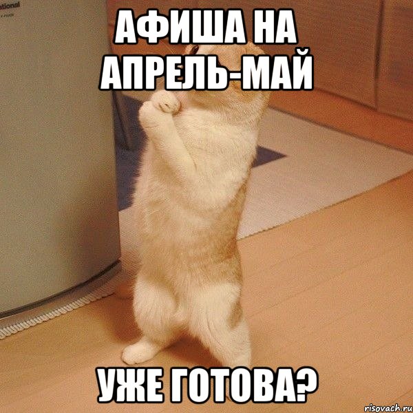 Афиша на апрель-май уже готова?, Мем  котэ молится
