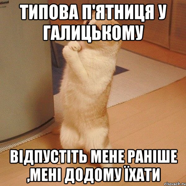 типова п'ятниця у галицькому відпустіть мене раніше ,мені додому їхати, Мем  котэ молится