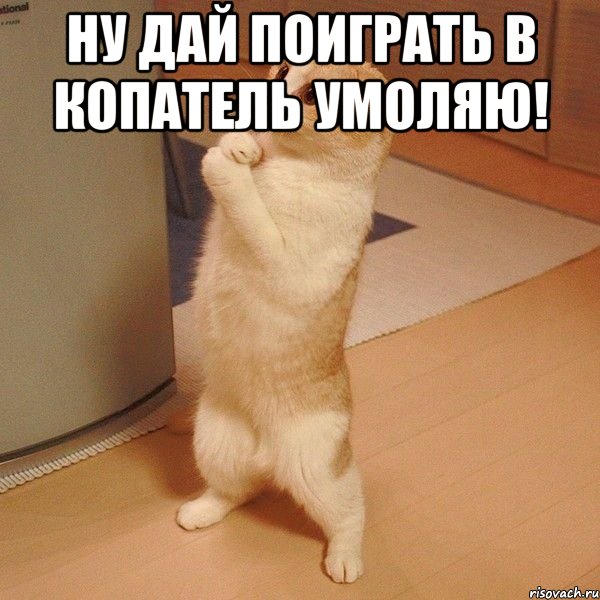 ну дай поиграть в копатель умоляю! , Мем  котэ молится