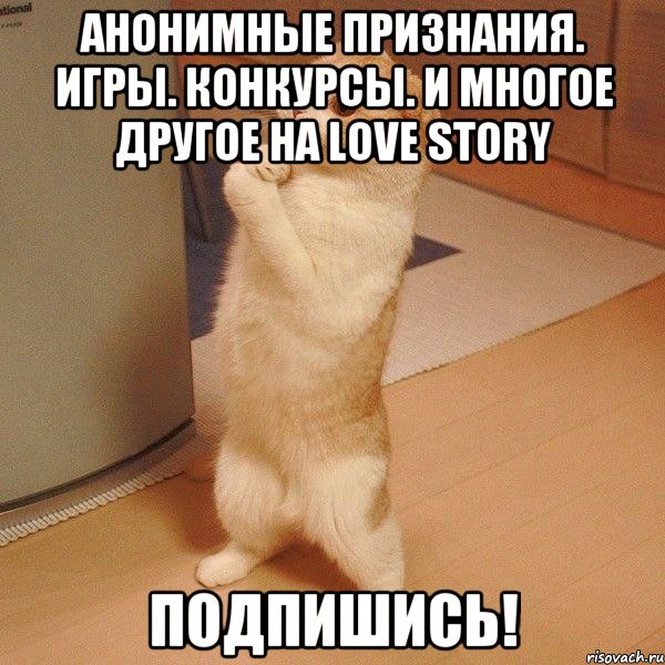 Анонимные признания. Игры. Конкурсы. И многое другое на Love Story Подпишись!, Мем  котэ молится