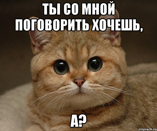 ты со мной поговорить хочешь, А?