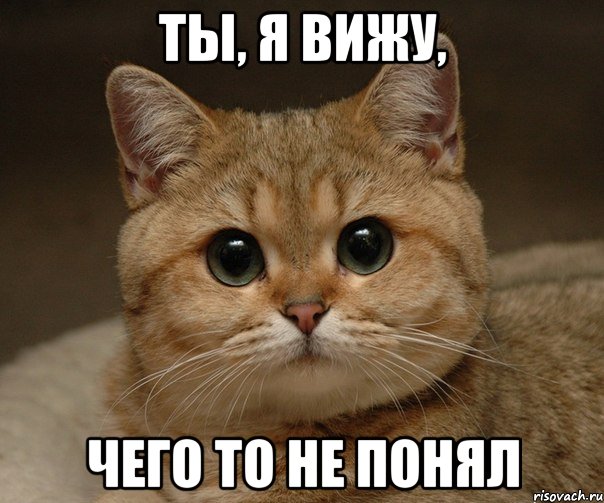 Ты, я вижу, чего то не понял