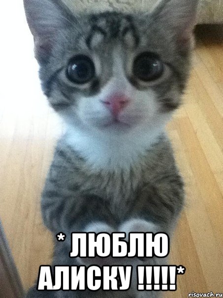  * Люблю Алиску !!!!!*