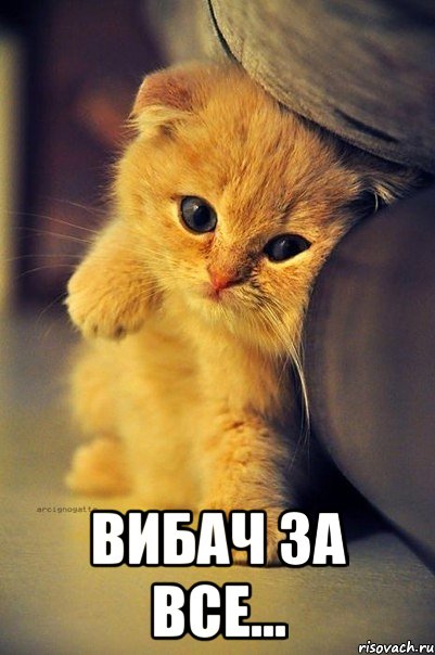  ВИбач за все...