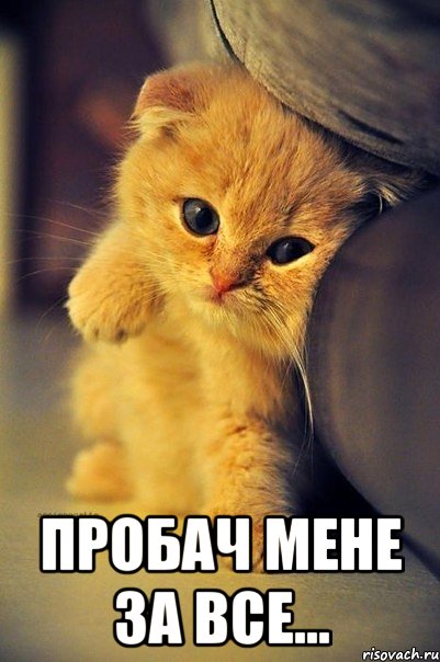  Пробач мене за все...
