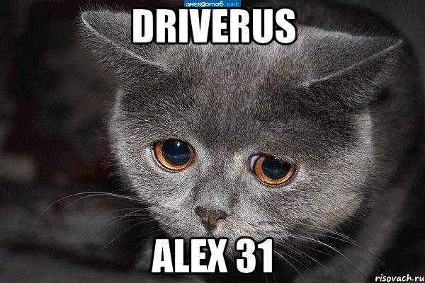 DRIVERUS ALEX 31, Мем  Грустный кот