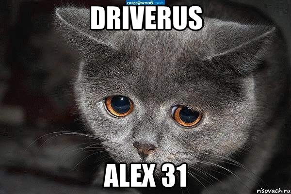 DRIVERUS ALEX 31