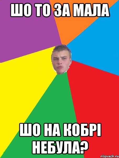шо то за мала шо на кобрі небула?