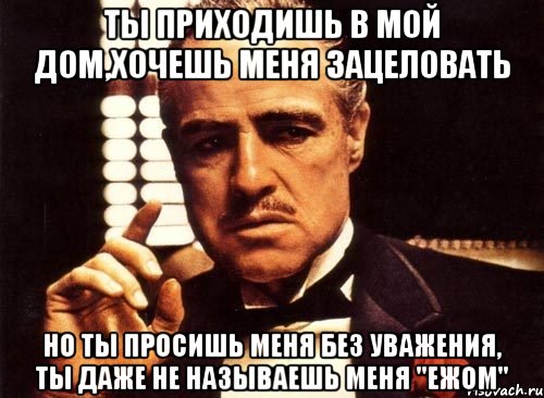 ты приходишь в мой дом,хочешь меня зацеловать но ты просишь меня без уважения, ты даже не называешь меня "ежом", Мем крестный отец